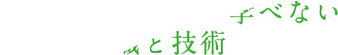 エムテックでしか学べない幅広い知識と技術